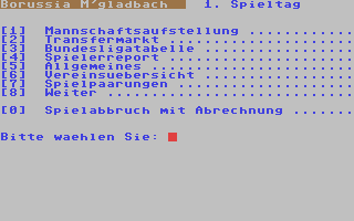 Screenshot for Bundesliga 94/95