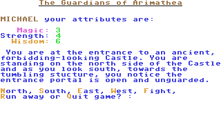Screenshot for Guardians of Arimathea, The