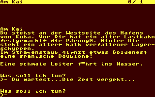 Screenshot for Piratenschatz, Der