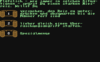 Screenshot for Schwert und Magie II