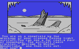 Screenshot for Winter Wonderland