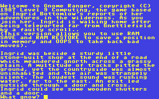 Screenshot for Gnome Ranger