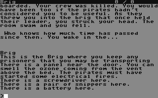 Screenshot for Piracy