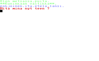 Screenshot for Seikkailu