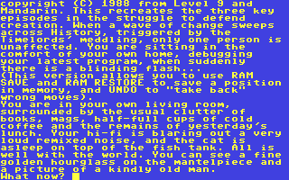 Screenshot for Time and Magik